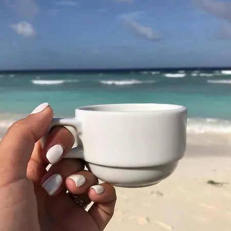 酒店 Club House Arkadia 5*