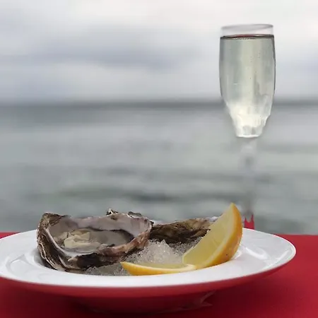 Club House Arkadia 酒店 敖德萨