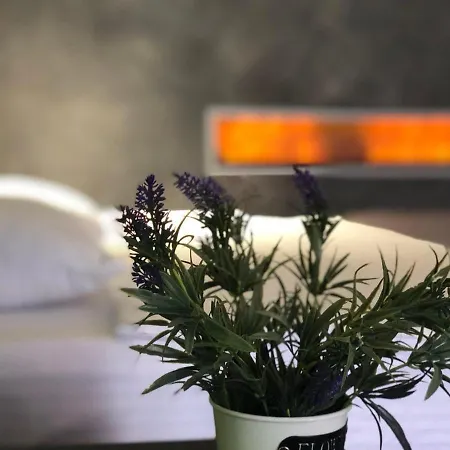 Club House Arkadia 5* 오데사