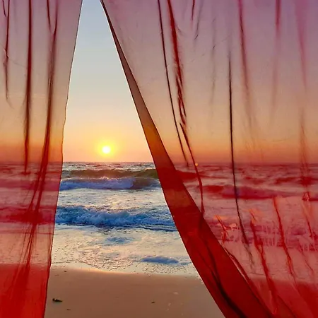 호텔 Club House Arkadia 오데사