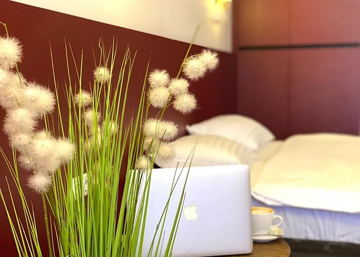 Club House Arkadia ホテル