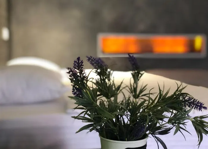 Club House Arkadia 5* オデッサ